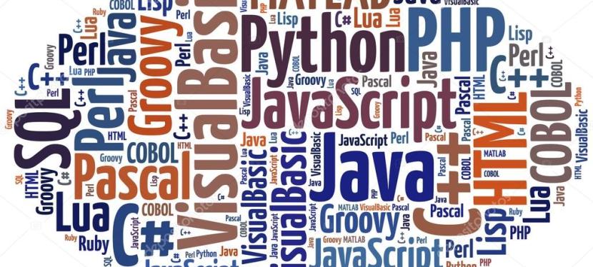 Why every Software Developer should learn these 3 languages